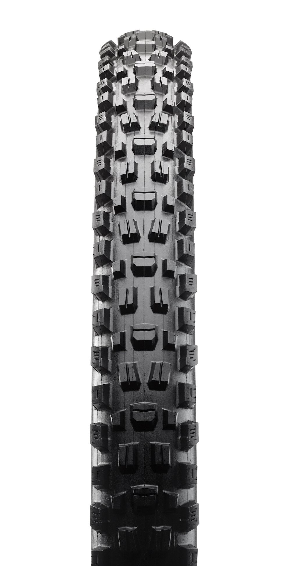 Maxxis Assegai - bikeparadise