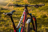 AMS All Mountain Style - das komplette Schutzaufkleber Set - bikeparadise